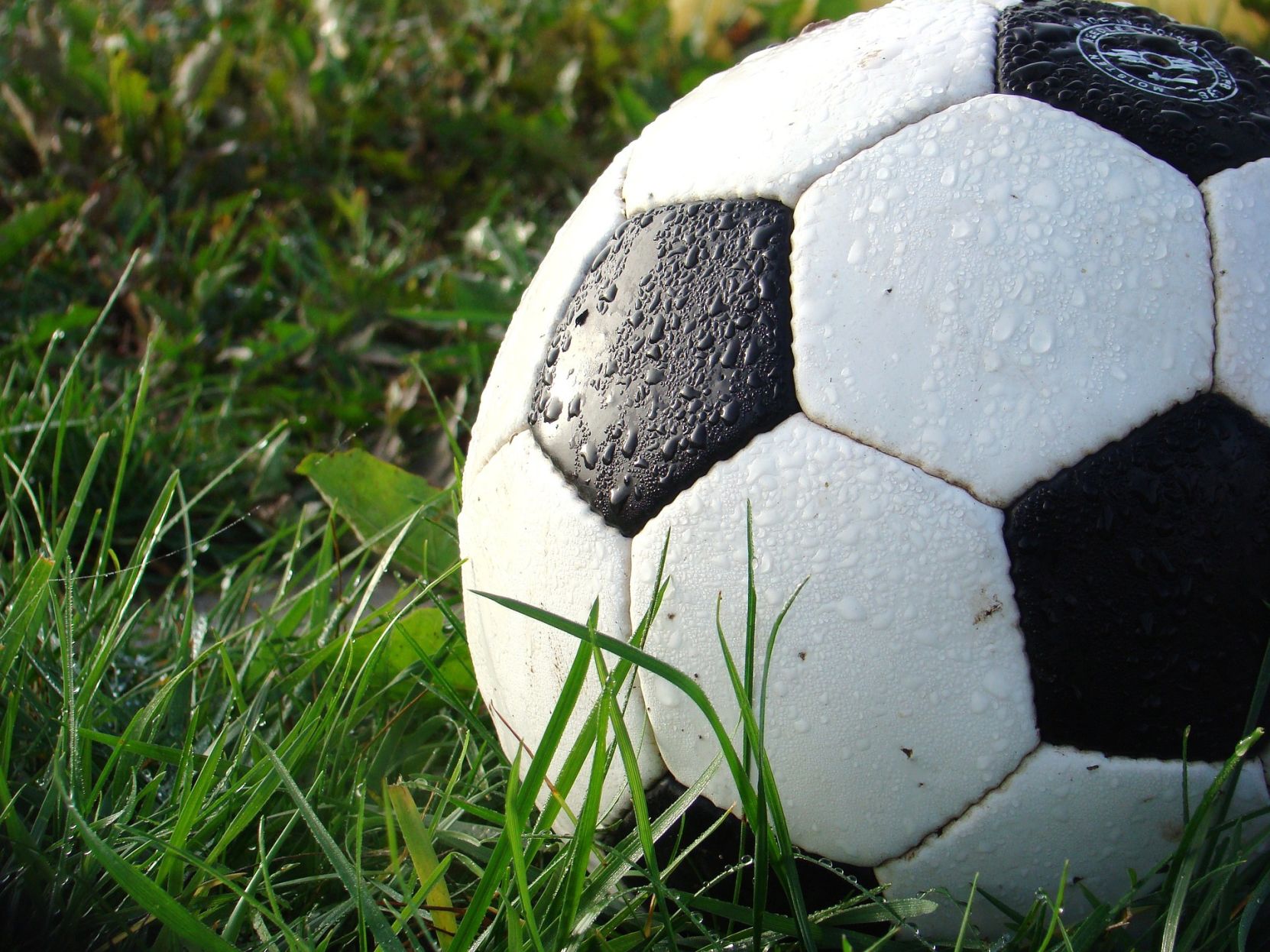 Six Mount Vernon boys earn All-OCC soccer honors