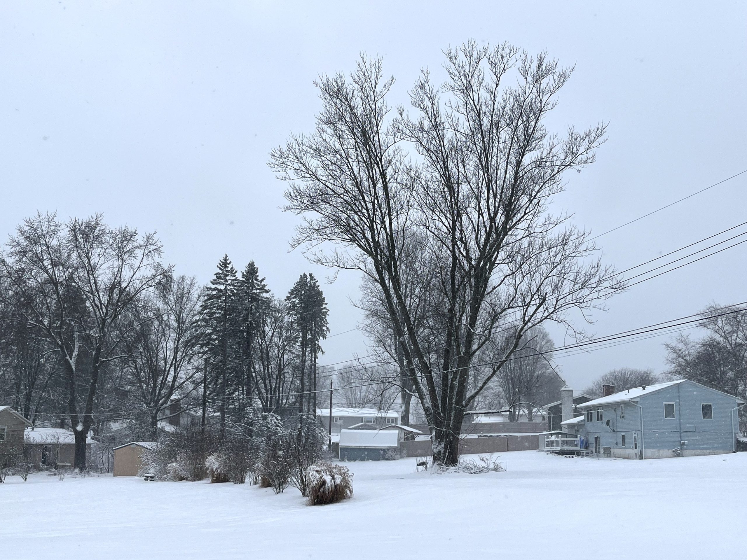 Richland, Ashland and Knox counties all under Level 2 snow emergencies