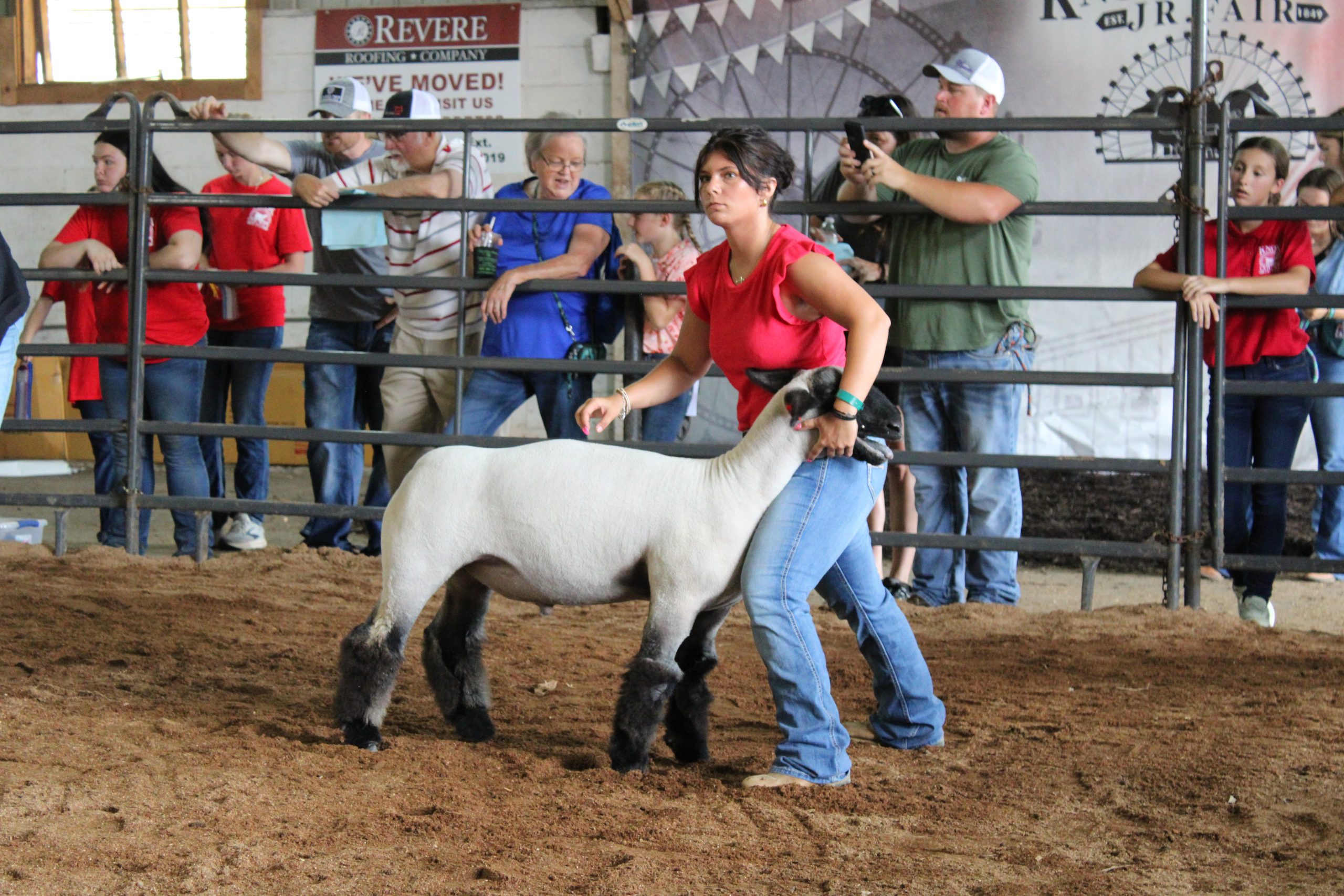 競馬Carrot Club Yearlings 2025 2025 Knox County Fair: Junior Fair results July 20