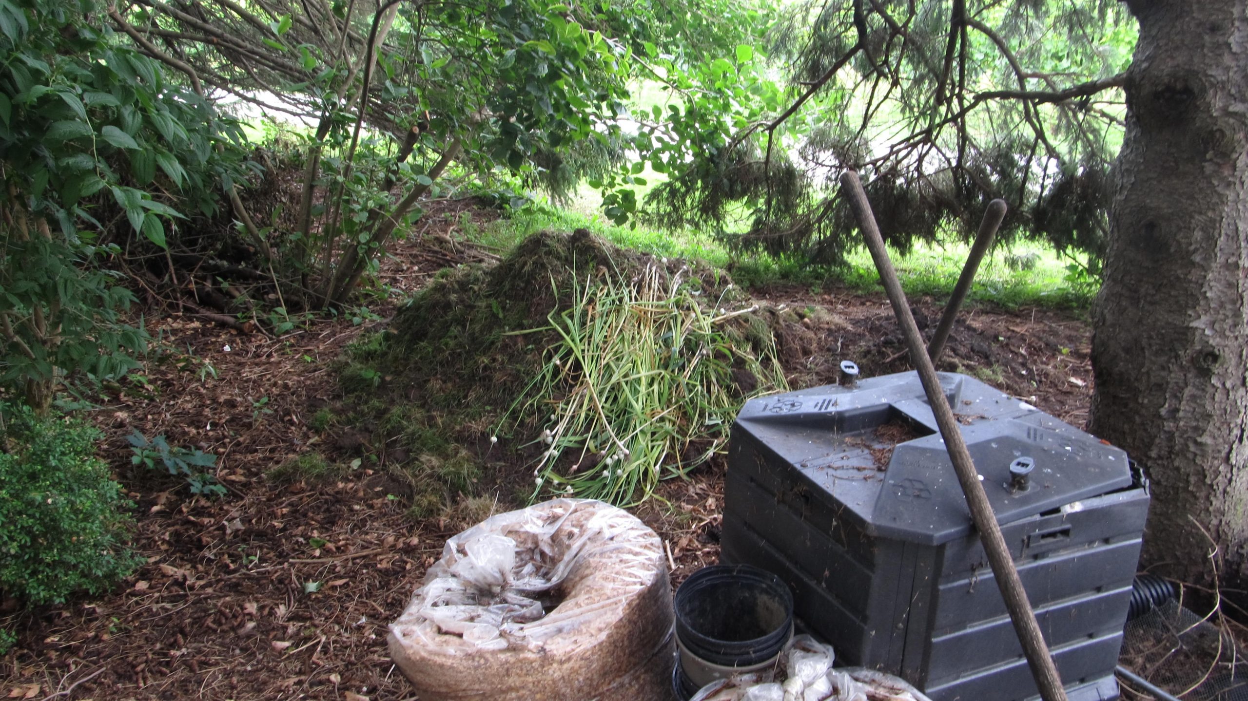 A Stroll Through the Garden: Have you ever heard of lasagna composting?